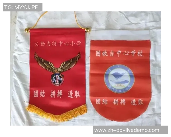 国家队足球服的设计理念与文化传承探讨